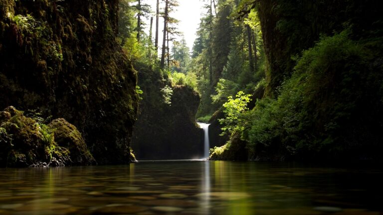 Mindfulness en la naturaleza: la clave para la paz interior