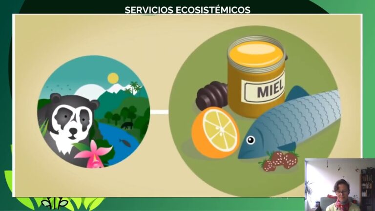 Beneficios del contacto con ambientes naturales para el bienestar