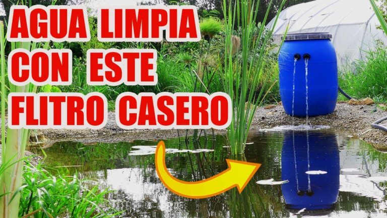 Mejoras en el Sistema de Filtrado: Optimización y Eficiencia