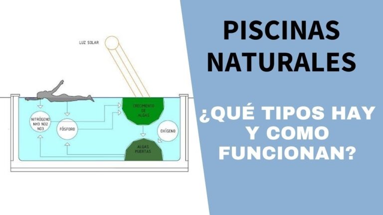 Ventajas de las Piscinas Naturales: Salud y Bienestar