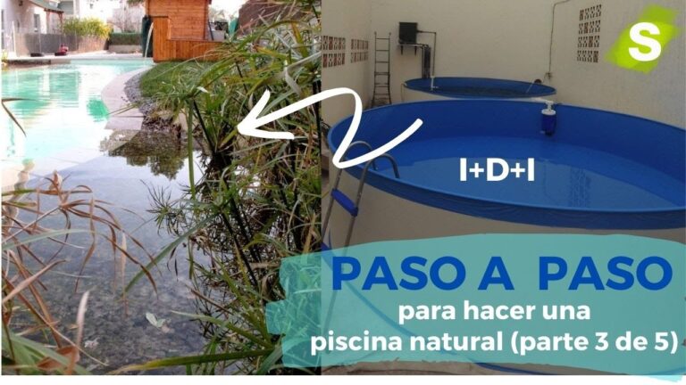 Beneficios de la Filtraci&oacute;n Natural en Piscinas