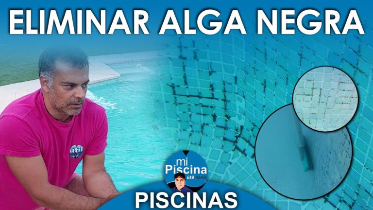 Prevención de Hongos en Piscinas de Liner: Guía Completa