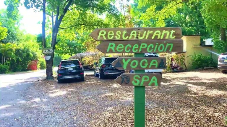 Experiencia de lujo en caba&ntilde;as con spa al aire libre